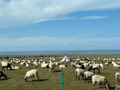 -青海湖国家重点风景名胜区