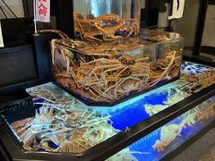 -蟹道乐(道顿堀本店)