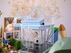 教室环境-蒂朵儿童绘画美术教室