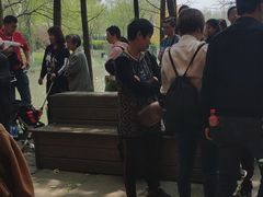 -自然谷恐龙园