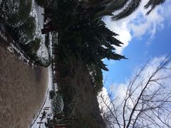 汉拿树木园-汉拿树木园
