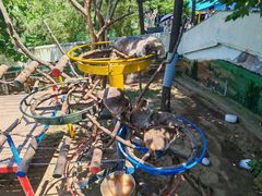 -西霞口神雕山野生动物世界