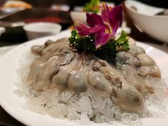 -鼎汇丰重庆老火锅(鞍顺园店)