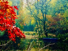 -上海共青森林公园