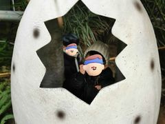 -呀路古热带植物园