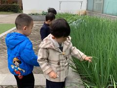 -玛利娅蒙特梭利双语幼儿园·托育(百家湖直营园)