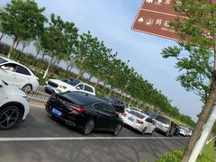 -东堤公园