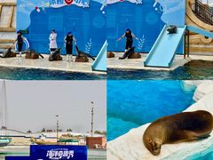 -秦皇岛乐岛海洋王国