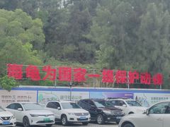 -广东惠东海龟国家级自然保护区