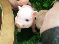 -百年神厨·地道川菜(清江西路店)