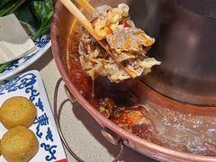 -东镇老火锅(长春路首店)