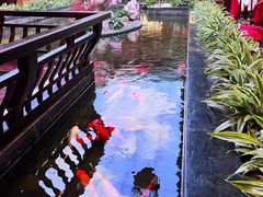 -白天鹅宾馆-玉堂春暖餐厅