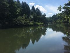 -四明山国家森林公园