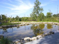 -溱湖国家湿地公园