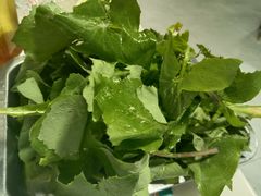 -品品野菜铜火锅(文汇路店)