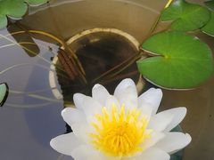 -西安市广仁寺