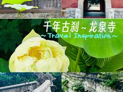 -龙泉寺