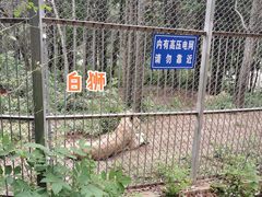 -安徽大青山野生动物世界
