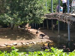 -长白岛森林公园