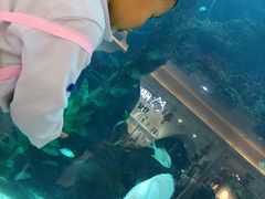 -鸿通城购物中心