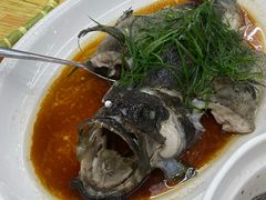 -东森家宴·惠州客家菜