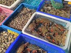 -上海龙吴水胜海发市场