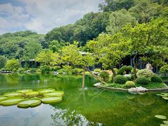 -云溪植物园