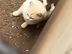 -昆明动物园