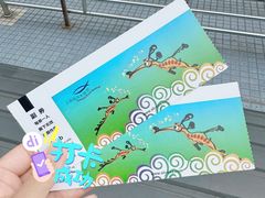 -上海海洋水族馆