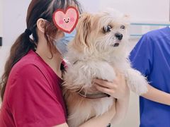 -美联众合动物医院·24h转诊中心