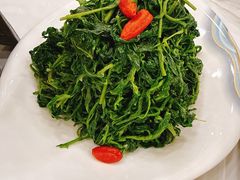 养生枸杞苗-老毛手抓·盐池滩羊非遗手抓(宁夏总店)