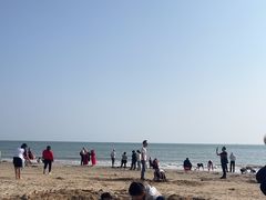 -东郊椰林