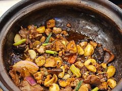 -大嫂镬仔·焖鸡煲·啫啫煲(逢源路店)