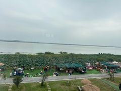 -七的湖·晚芳亭·阳澄湖农家菜·大闸蟹(莲花岛店)