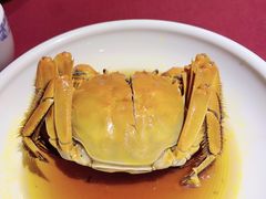 -老吉士酒家(天平路店)