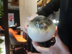 -肆月河豚·淮扬菜·湘菜(华天店)