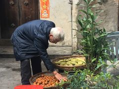 -老炳·七丛松甘草水果