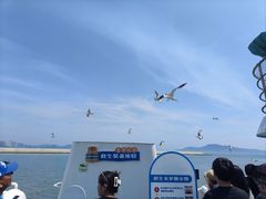 -刘公岛景区