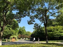 -青枫公园