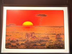 -罗红摄影艺术馆