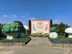 -上海都市菜园