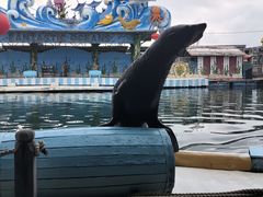 -海南分界洲岛旅游区