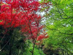-幕燕滨江·燕子矶公园