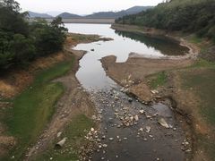 -清溪森林公园