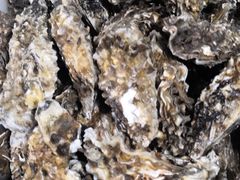 -宾朋海鲜特色美食餐厅·纯手工鲅鱼水饺(兴海路店)