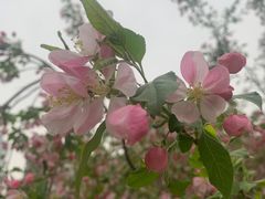 -元大都城垣遗址公园