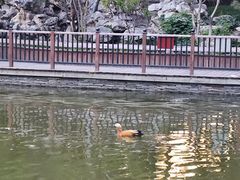 -宣武艺园