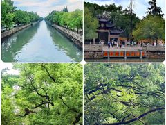 -西园戒幢律寺