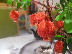 -奔跑吧陕菜·盛世长安(民乐园万达店)
