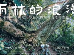 -野象谷景区